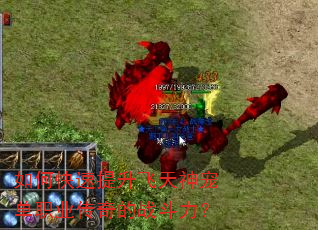 如何快速提升飞天神宠单职业传奇的战斗力? 如何快速提升飞天神宠单职业传奇的战斗力?