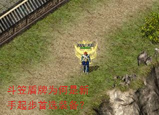 斗笠盾牌为何是新手起步首选装备? 斗笠盾牌为何是新手起步首选装备?