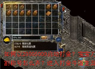 如何以20005000启动打金?宝宝刀刀切割称号怎么弄?进入打金牛逼生涯有哪些攻略? 如何以20005000启动打金?宝宝刀刀切割称号怎么弄?进入打金牛逼生涯有哪些攻略?