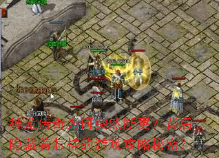 神龙传奇为何突然断更?背后隐藏着怎样的游戏攻略秘密? 神龙传奇为何突然断更?背后隐藏着怎样的游戏攻略秘密?