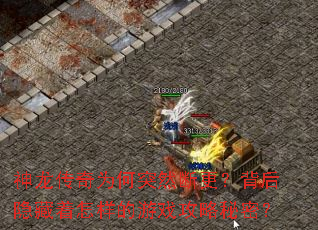 神龙传奇为何突然断更?背后隐藏着怎样的游戏攻略秘密? 神龙传奇为何突然断更?背后隐藏着怎样的游戏攻略秘密?