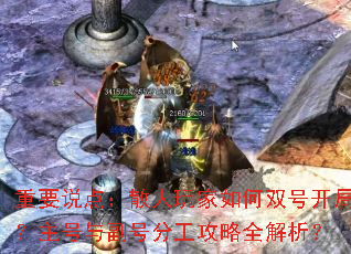 ��Ҫ˵�㣺ɢ��������˫�ſ��֣������븱�ŷֹ�����ȫ������