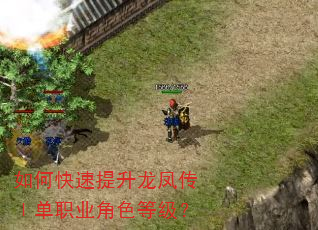 如何快速提升龙凤传Ⅰ单职业角色等级? 如何快速提升龙凤传Ⅰ单职业角色等级?