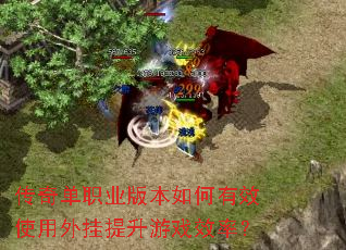 ���浥ְҵ�汾�����Чʹ�����������ϷЧ�ʣ�