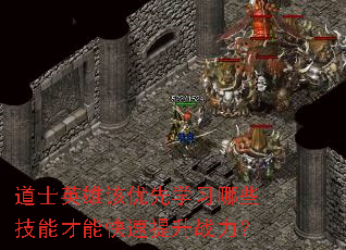 道士英雄该优先学习哪些技能才能快速提升战力? 道士英雄该优先学习哪些技能才能快速提升战力?