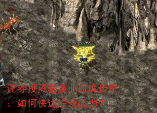 ֤ȯͶ�ʻ���ҵѪ�괫�棺��ο�������ս����