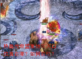 ��Ѫ�������ص������λ�����ģ����ǰ����
