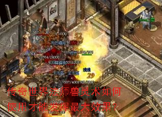 传奇世界法师兽灵术如何使用才能发挥最大效果? 传奇世界法师兽灵术如何使用才能发挥最大效果?