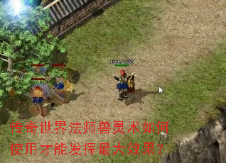�������編ʦ���������ʹ�ò��ܷ������Ч����