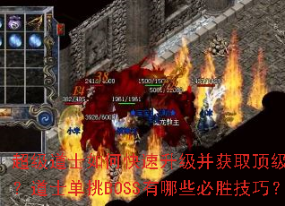 ������ʿ��ο�����������ȡ����װ������ʿ����BOSS����Щ��ʤ���ɣ�