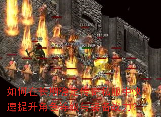 ����ڳ����ȶ�����˽���п���������ɫ�ȼ���װ��ս����