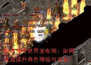�¿��������緢��������ο���������ɫ�ȼ���װ����
