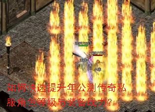 ��ο��������깫�⴫��˽����ɫ�ȼ���װ��ս����