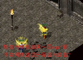 ��䴫��˽����һ��cqsf������ο��������ȼ���װ����