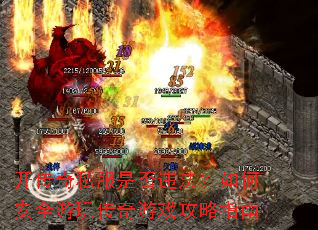������˽���Ƿ�Υ������ΰ�ȫ���洫����Ϸ����ָ��