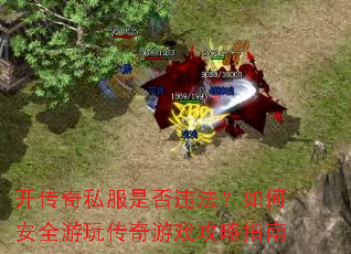 ������˽���Ƿ�Υ������ΰ�ȫ���洫����Ϸ����ָ��