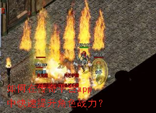 ����ڴ���ƽ̨app�п���������ɫս����