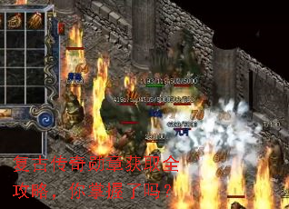 ���Ŵ���ѫ�»�ȡȫ���ԣ�����������
