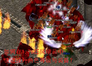 �����1.76��羫Ʒ�п���������ɫ�ȼ���װ����