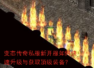 ��̬����˽���¿�����ο����������ȡ����װ����