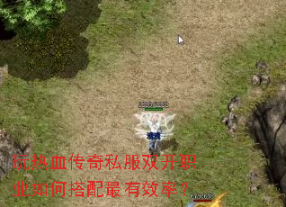 玩热血传奇私服双开职业如何搭配最有效率? 玩热血传奇私服双开职业如何搭配最有效率?