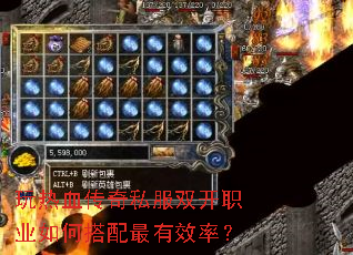 ����Ѫ����˽��˫��ְҵ��δ�������Ч�ʣ�