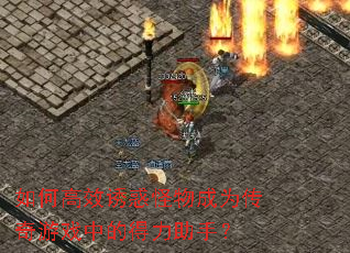 ��θ�Ч�ջ�����Ϊ������Ϸ�еĵ������֣�