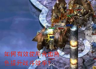 �����Чʹ�úϻ���ɫ����ս��Ч�ʣ�