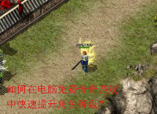 如何在电脑免费传奇游戏中快速提升角色等级? 如何在电脑免费传奇游戏中快速提升角色等级?