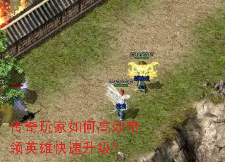 ���������θ�Ч����Ӣ�ۿ���������