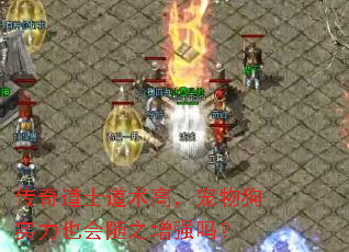 传奇道士道术高,宠物狗实力也会随之增强吗? 传奇道士道术高,宠物狗实力也会随之增强吗?