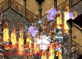 传奇道士道术高,宠物狗实力也会随之增强吗? 传奇道士道术高,宠物狗实力也会随之增强吗?