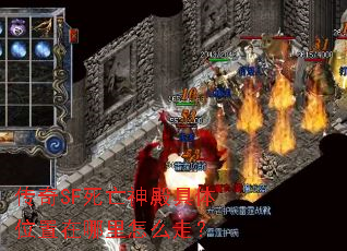 ����SF����������λ����������ô�ߣ�