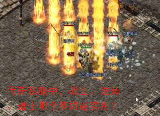 ����˽���У�սʿ����ʦ����ʿ�ĸ�Ӣ����ʵ�ã�