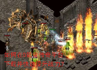�����0봽���ƽ̨���ز���������ս����
