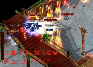 ��Ѫ����ѫ�������Ҫ�ﵽ���ٵȼ���
